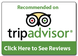 tripadvisor icon png